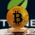 Crypto30x.com Bitcoin